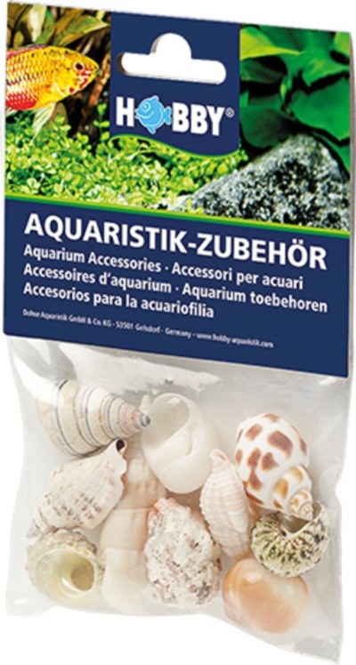Hobby Shells Hobby Mixed Hermit Shells - Marine Aquatics Ltd.