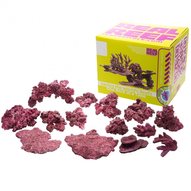 Real Reef Ready Mixed Box