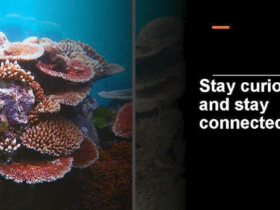 is-ai-replacing-coral-scientists?-evaluating-the-use-of-ai-in-coral-conservation