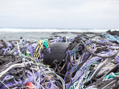 ghost-gear-is-killing-coral-reefs-and-no-one-is-talking-about-it