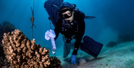 coral-mini-heroes:-who-are-the-beneficial-microorganisms-for-corals-(bmcs)?