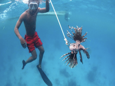 ciguatera-and-lionfish-double-trouble