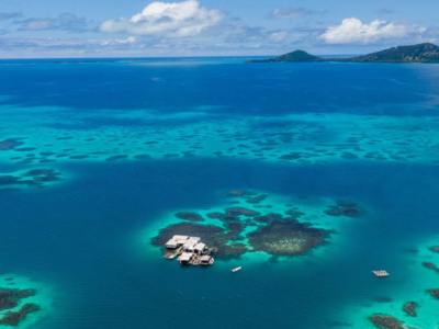 coral-is-expanding-into-new-regions