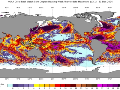 2024-record-temperature-effects-on-coral-bleaching-&-ocean-circulation