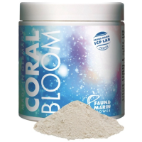 Fauna Marin Coral Bloom