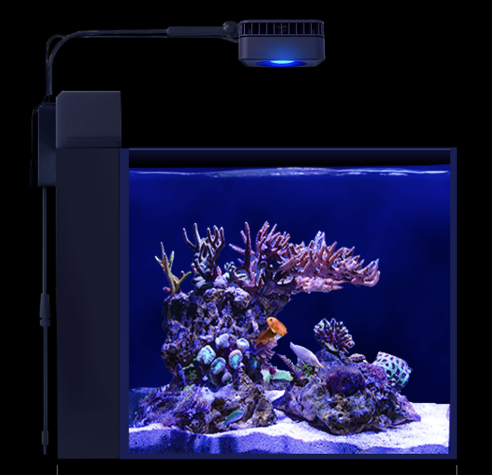 Red Sea Max Nano Peninsular Gen 2 Complete (Tank Only) - Marine