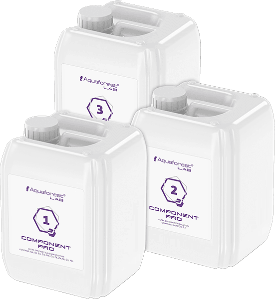 AF-Lab_Components-Pro.png