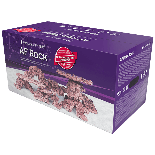 AF-Rock_18.png