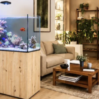 TMC Peninsula 90 Pro Aquarium - Image 1