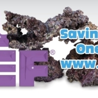 Real Reef Generation 4 Cured Live Rock - Image 4